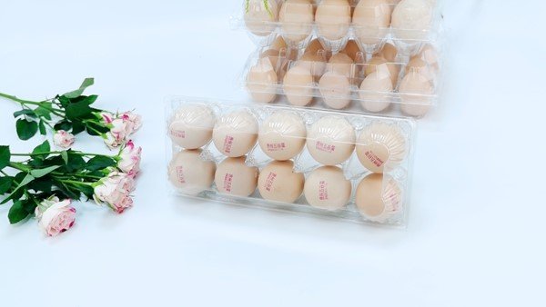 plastic carton packaging for egg